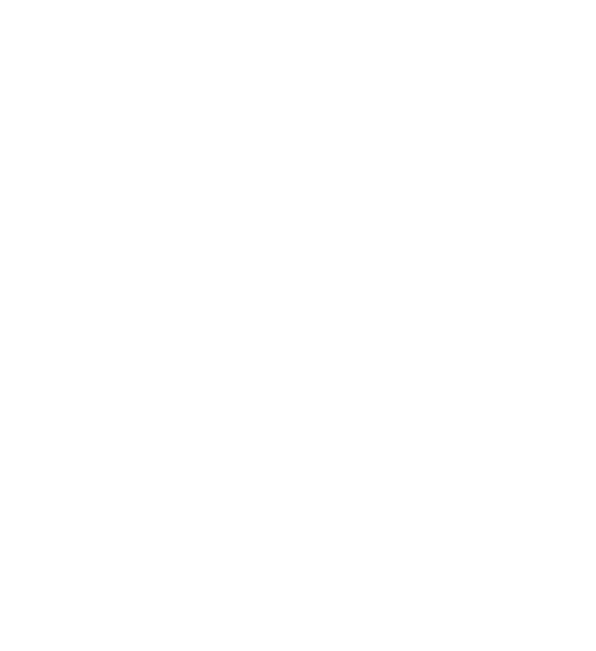 Open Latino Kangoo